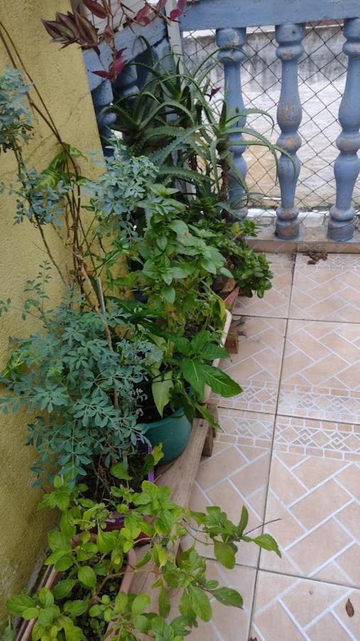 Hospedagem Domiciliar Alternativa Balneario Camboriu Luaran gambar